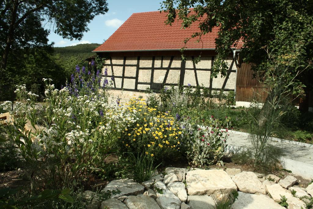 Cafe Landart Im Thueringer Finistere Daire Plaue  Oda fotoğraf