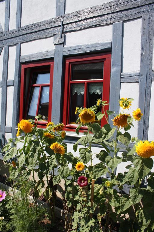 Cafe Landart Im Thueringer Finistere Daire Plaue  Dış mekan fotoğraf